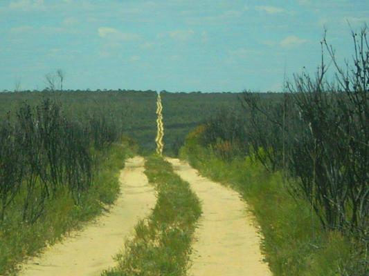 The Holland Track, archived photograph 2