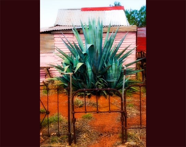 Gwalia Historic Precinct, archived photograph 6