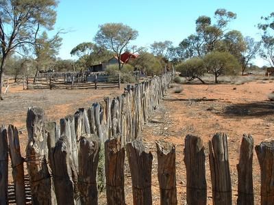 Wanjarri Nature Reserve, archived photograph 3